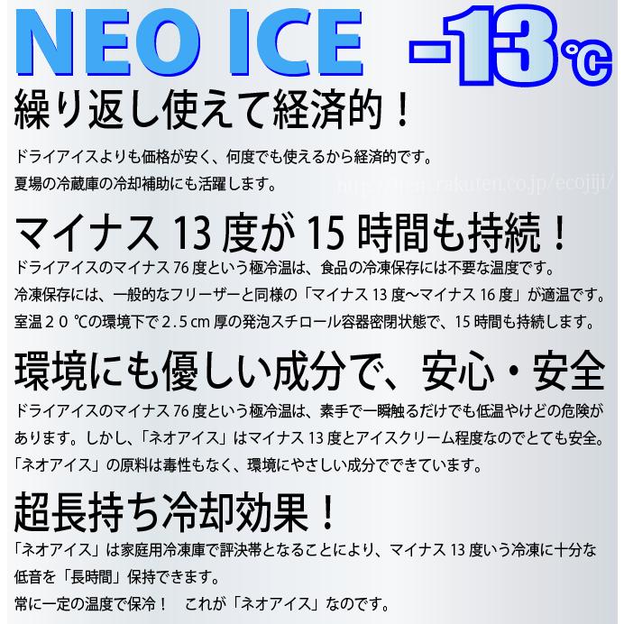 保冷剤 長時間 13 家庭用 ネオアイス ソフトタイプ 550ml 3個セット 宅配便送料無料 Neoice 13soft550 3set えこじじいの店 通販 Yahoo ショッピング