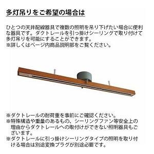 インターフォルム ペンダントライト　ウスヴァ LT-4179 |  | 09