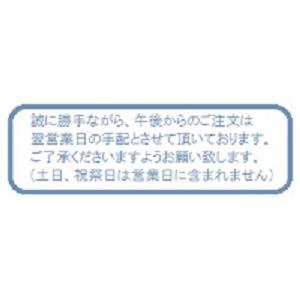 クウォーツアークロングアークタイプMT1000B-D/BH.未使用保管品です。 MT1000B-D/BH - クウォーツアーク 1000WロングアークBタイプ