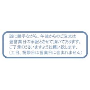 岩崎　セラルクス　白色　MT150CE-W/S-2｜ecokeinet｜02