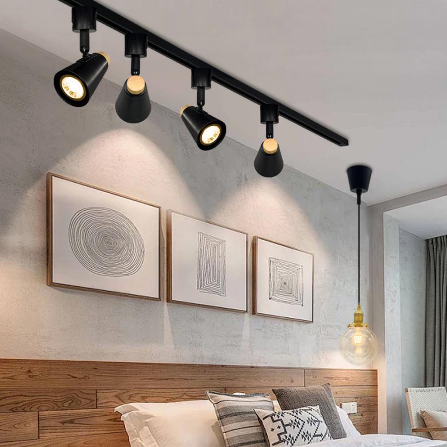 ダクトレール用 スポットライト10個セット　リモコン2個付 ダクトレール用 スポットライト10個セット リモコン2個付 Amazon