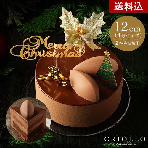クリスマスケーキ 22 トゥ ショコラ 12cm 約2 4名用 1月7日までのお届け 冷凍便 スイーツ お取り寄せ ギフト プレゼント ノエル クリオロ Yahoo 店 通販 Yahoo ショッピング