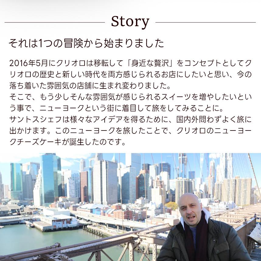 【送料込】【食べ比べセット】 幻のチーズケーキ と ニューヨークチーズケーキ【レクタ（長方形ケーキ）】【冷凍便】【朝9時までの注文で当日出荷可】