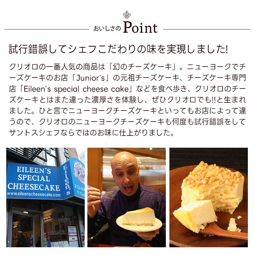 【送料込】【食べ比べセット】 幻のチーズケーキ と ニューヨークチーズケーキ【レクタ（長方形ケーキ）】【冷凍便】【朝9時までの注文で当日出荷可】