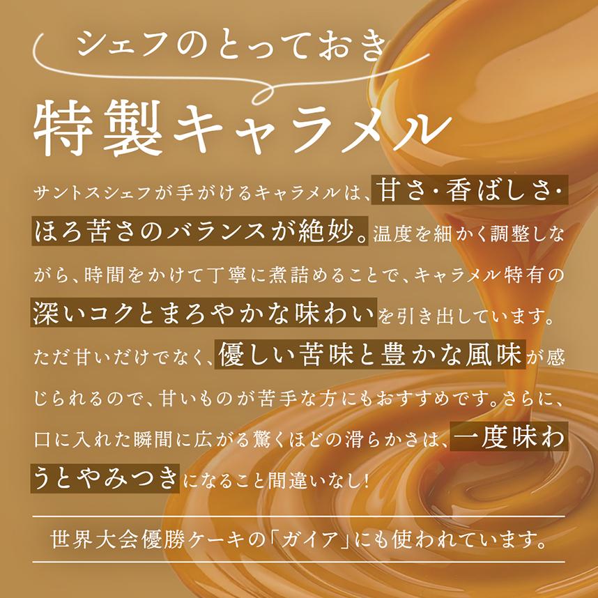 エコール・クリオロ キャラメル・ショコラ （キャラメル・ショック
