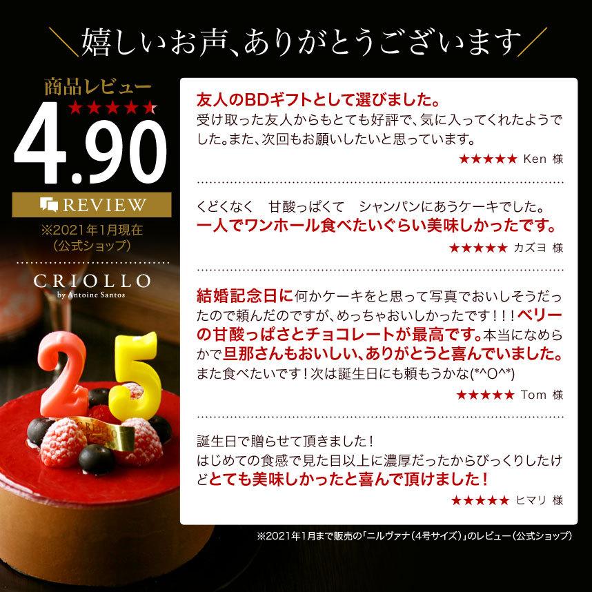 ニルヴァナ 4号 直径12cm 約2〜4名用 誕生日 バースデーケーキ | 冷凍便｜ecole-criollo｜10