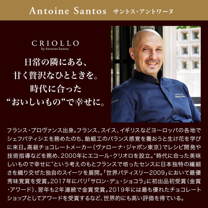 【季節限定】【チョコレートケーキ】トレゾー・ジャポネ・フランコ│キャラメル・サレ【冷凍便】【2〜5営業日で出荷】 | エコール・クリオロ | 10
