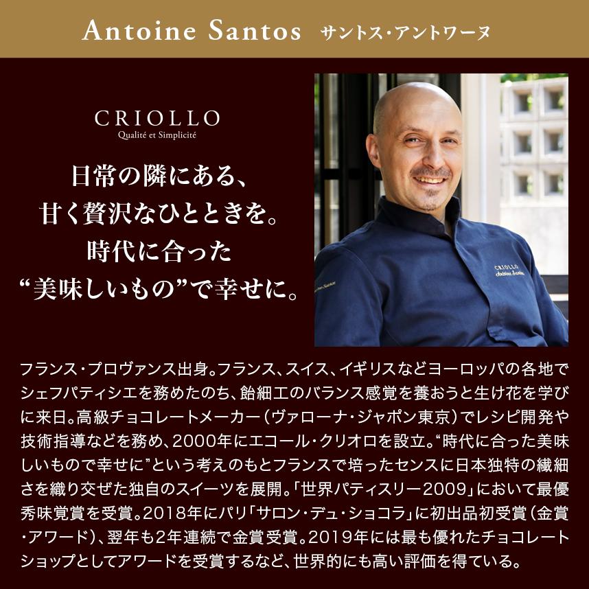 クリーミーバスクチーズケーキ【冷凍便】【朝9時までの注文で当日出荷可】 | エコール・クリオロ | 11