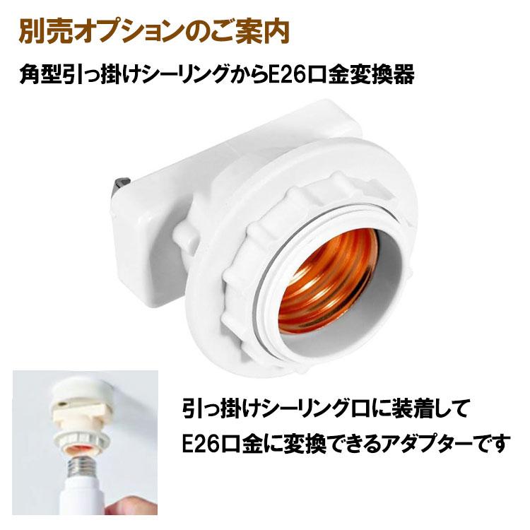 慧光（エコウ） LEDシーリングファンライト E26 静音 コンパクト 省
