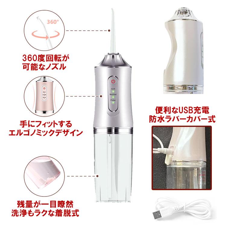 口腔洗浄器 USB充電式 マウスウォッシャー 電動 超音波 ジェット