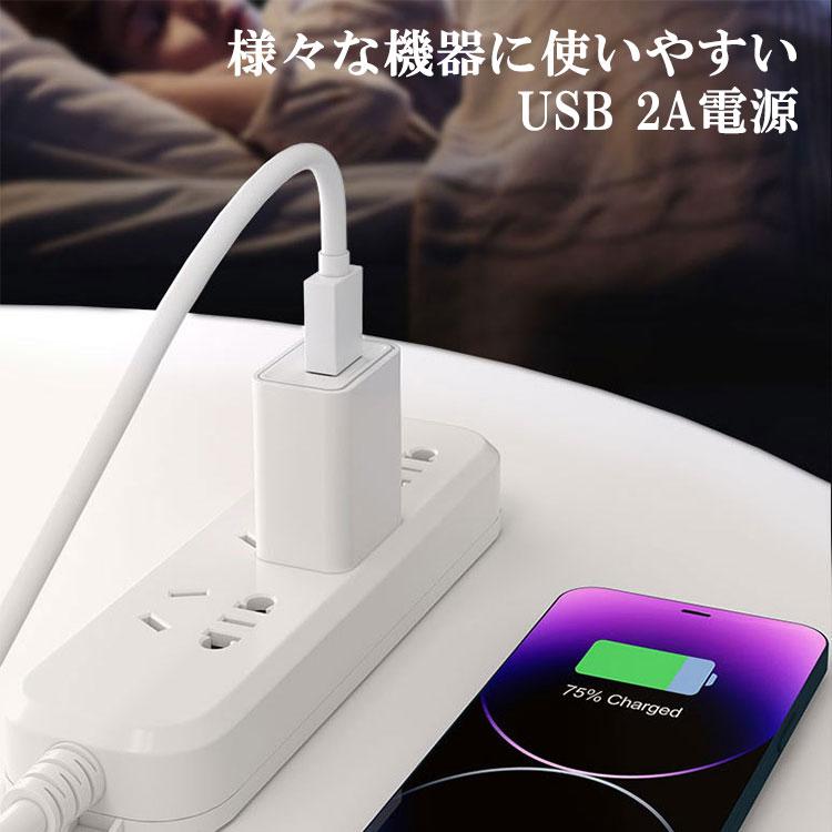 USB充電器 AC電源アダプター 2個セット USB-A DC5V 2A  変圧器 日本規格PSE メール便送料無料 USB-2A-2set | ブランド登録なし | 01