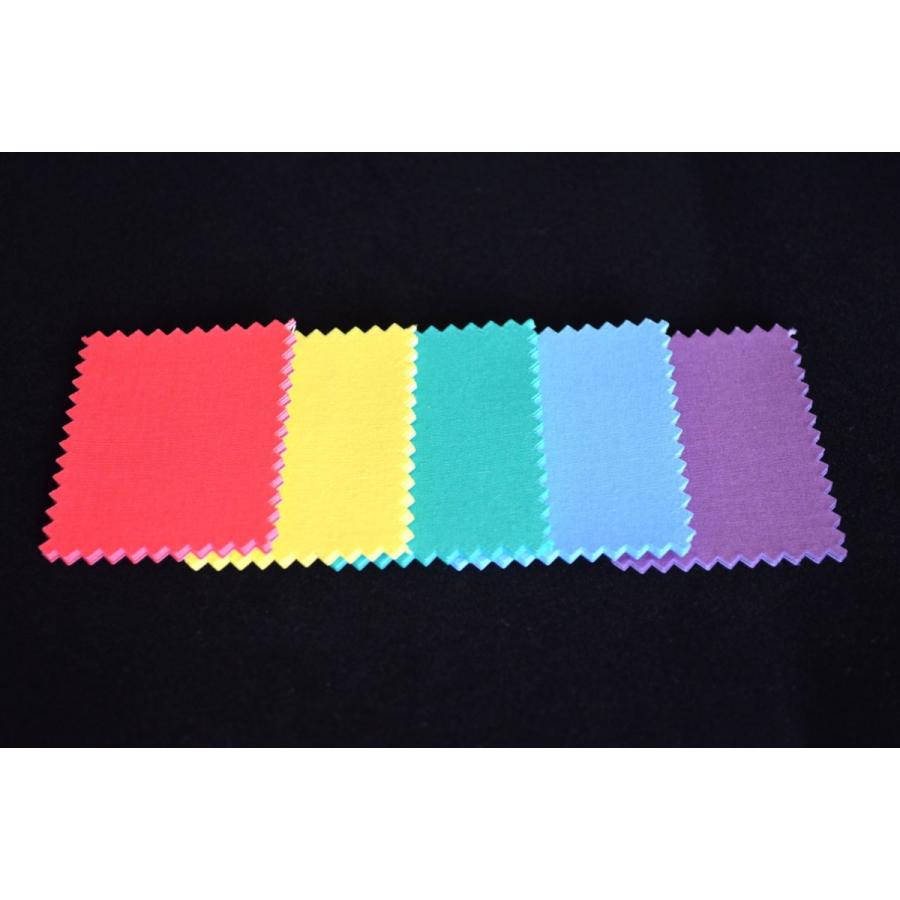 【お取寄商品】カラーサンプル（カラーチップ5枚入り） | 