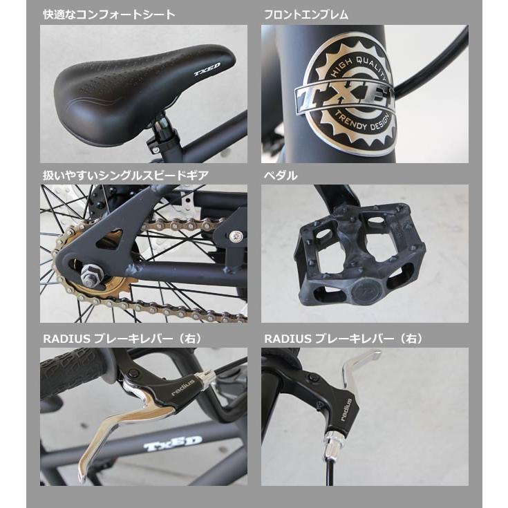 【送料無料】ファットバイク ビーチクルーザー 自転車　20インチ FATBIKE ファットバイク　BMXスタイル｜ecolife-araisk2011｜11