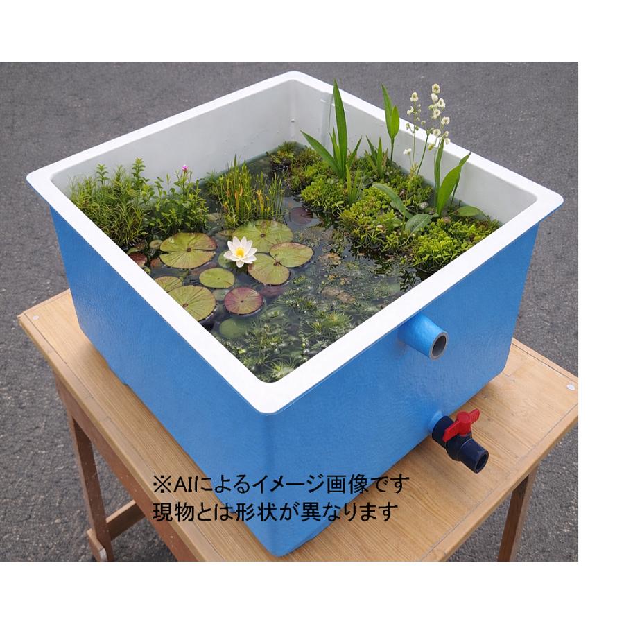 FRP 舟　メダカ　金魚　川魚　飼育や養殖などに　 青舟(小) プラ製金魚・メダカ用飼育容器 水容量：約16リットル