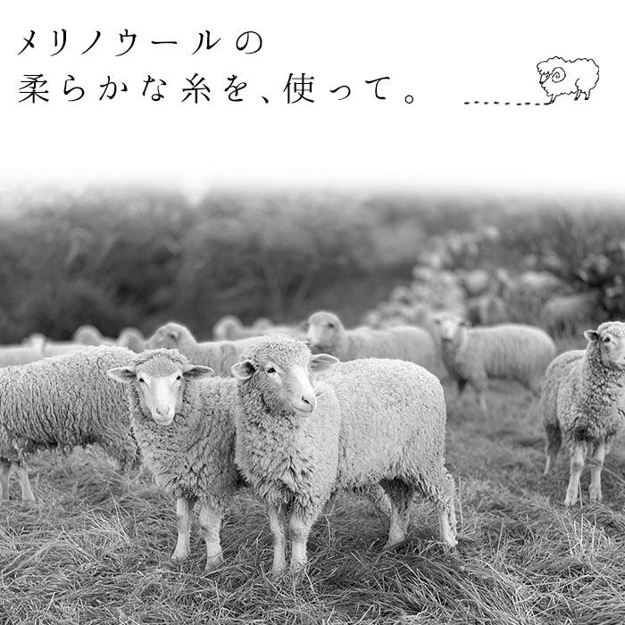 2点までメール便可 ソックス 日本製 メリノウール メランジ 鹿の子ソックス レディース エコロコ ギフト 2220AW1014, |  | 03