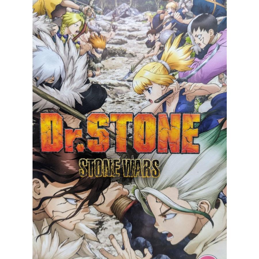 Dr.STONE ドクターストーン 2期 全11話 310分 DVD アニメ 輸入版