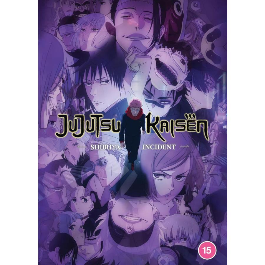 呪術廻戦 第2期 渋谷事変 30-47話 450分 DVD じゅじゅつかいせん
