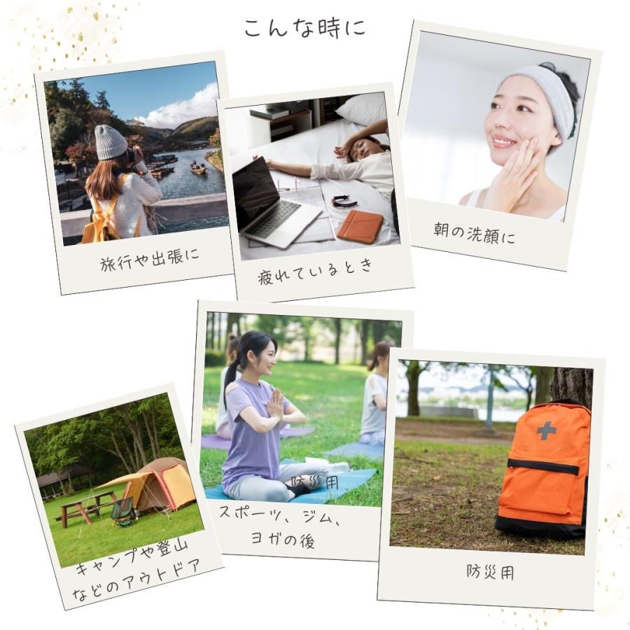 エコリュクス オールインワン アロマ クレンジングシート 1枚入り