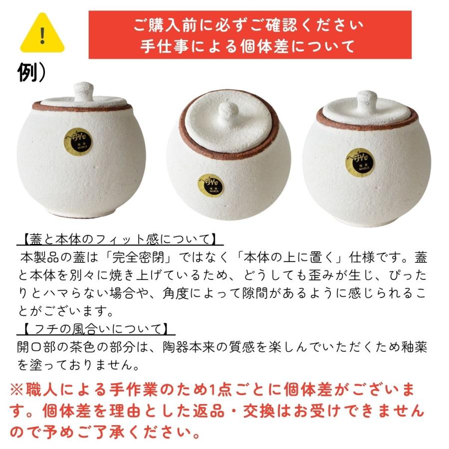 塩壺 小(しおつぼ 塩壷 卓上 保存容器 信楽焼 陶器 日本製 ソルト