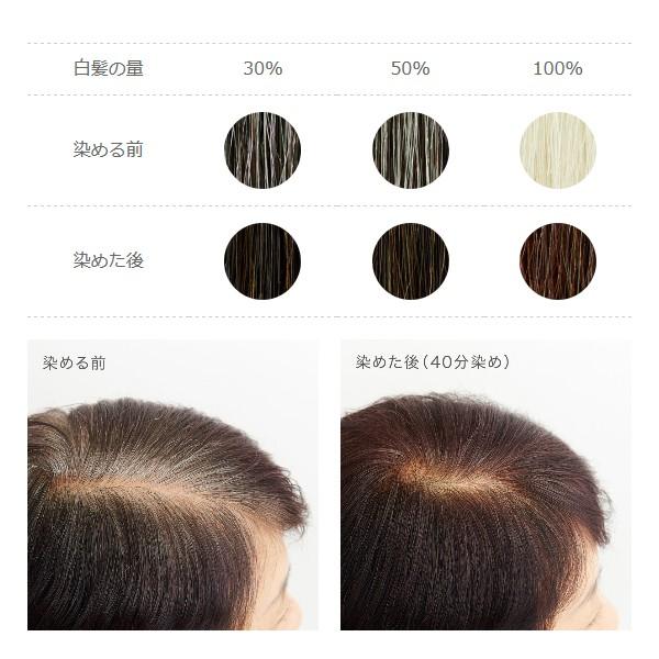 ナイアード ヘナ 木藍 黒茶系 100g D2 ヘナ 白髪染め グリーンパックス館 By ナチュラムーン 通販 Yahoo ショッピング