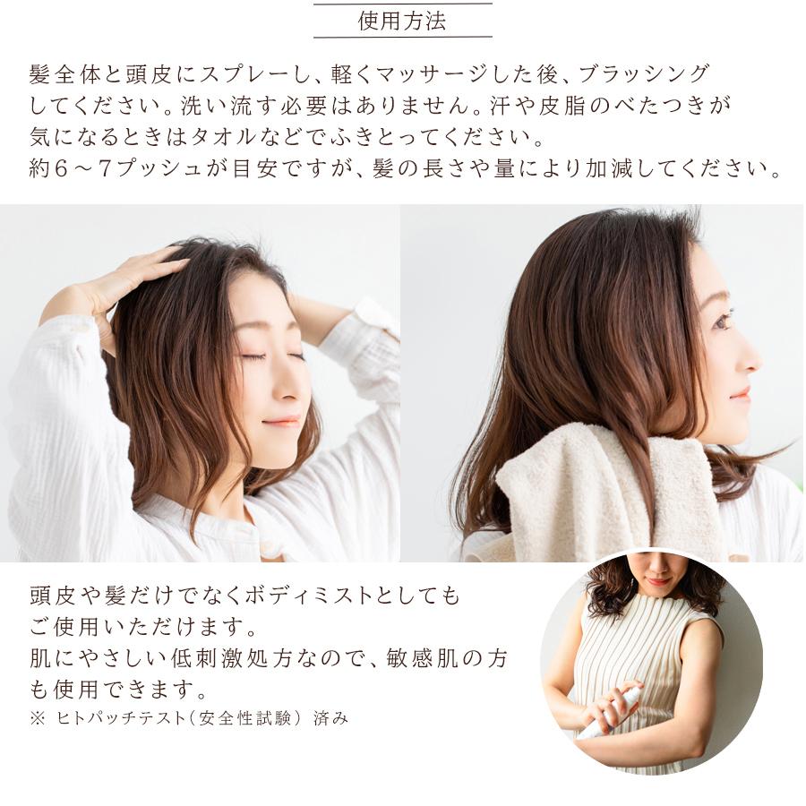 エコリュクス オールインワン アロマ ドライシャンプー 100ml T3 Ecoluxe 水のいらないシャンプー ノンシリコン オーガニック 防災 介護 エコ雑貨の店 グリーンパックス館 通販 Yahoo ショッピング