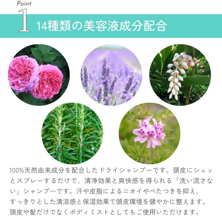 エコリュクス オールインワン アロマ ドライシャンプー 100ml(ecoluxe 水のいらないシャンプー ノンシリコン 防災 アウトドア 4935137805418) | ブランド登録なし | 05