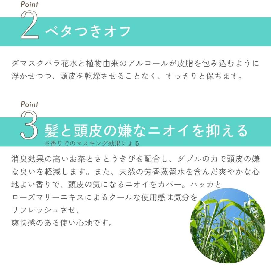 エコリュクス オールインワン アロマ ドライシャンプー 100ml(ecoluxe 水のいらないシャンプー ノンシリコン 防災 アウトドア 4935137805418) | ブランド登録なし | 06