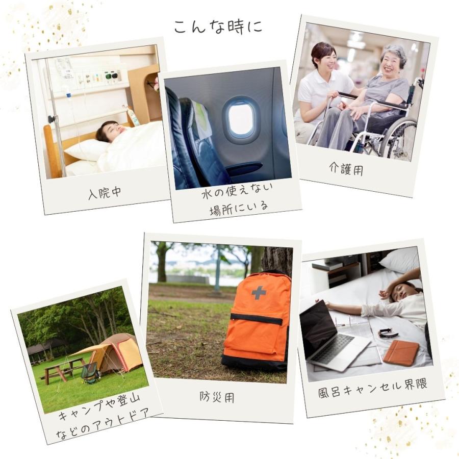 エコリュクス オールインワン アロマ ドライシャンプー 100ml(ecoluxe 水のいらないシャンプー ノンシリコン 防災 アウトドア 4935137805418) | ブランド登録なし | 09