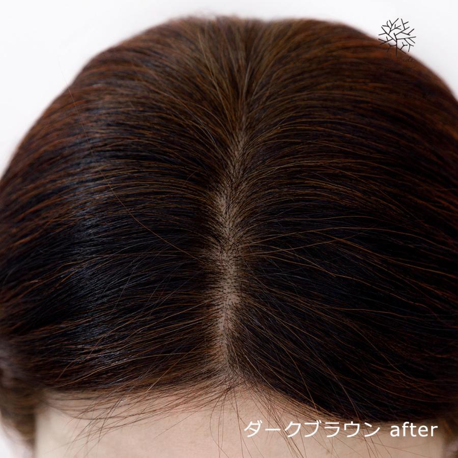 みんなでみらいを（minnade miraio） ヘナ カラーセット(ヘアカラー