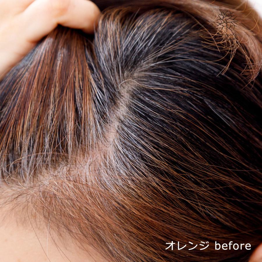 みんなでみらいを（minnade miraio） ヘナ カラーセット(ヘアカラー