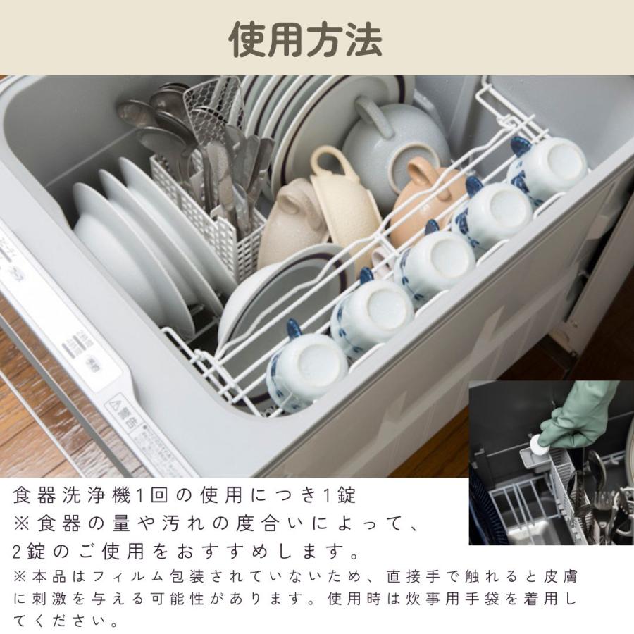 エコメイト食器洗浄機用タブレット洗剤 10g×30錠(ECOMATE 食器洗い乾燥機専用洗剤 食器洗浄機用洗剤 食洗機用洗剤 エコ洗剤 食器洗い機 4935137806507) | ブランド登録なし | 10