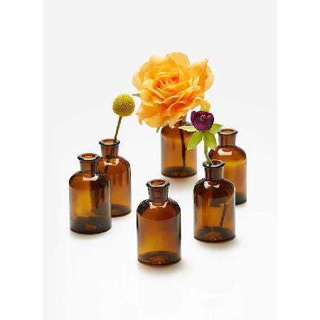 アメリカから厳選した大人気商品を最安値で!【人気商品】Serene Spaces Living Dark Amber Medicine B0ttle Bud Vases, Set 0f 12, Antique Glass B0ttles in 2 Sizes【並行輸入】 アメリカから厳選した大人気商品を最安値で!【人気商品】Serene Spaces Living Dark Amber Medicine B0ttle Bud Vases, Set 0f 12, Antique Glass B0ttles in 2 Sizes【並行輸入】
