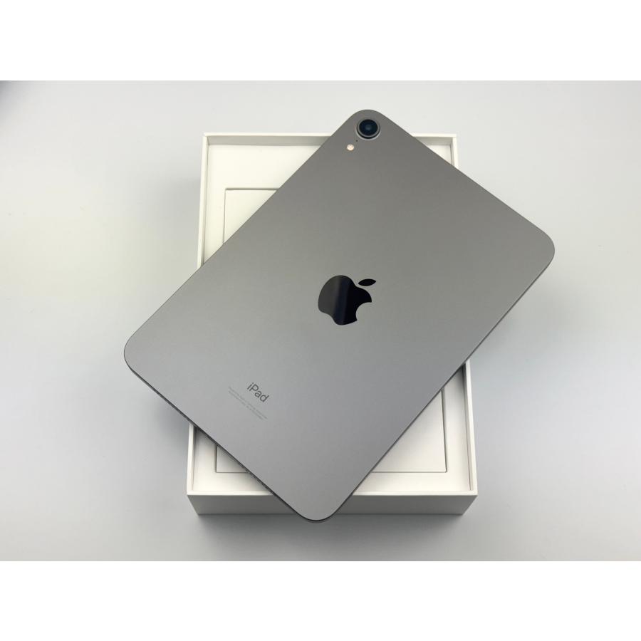 iPad mini (第6世代) 256GB スペースグレー 【ジャンク品】 iPad Mini