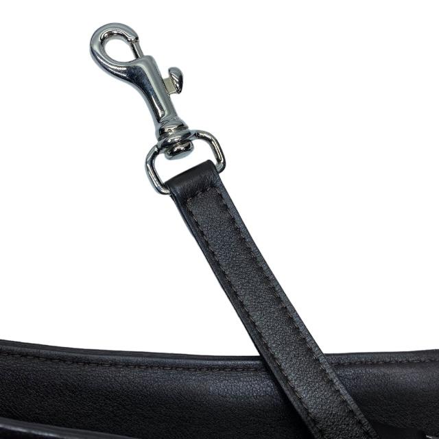 DELVAUX（デルヴォー） デルボー ルイーズ ショルダーバッグ クロス