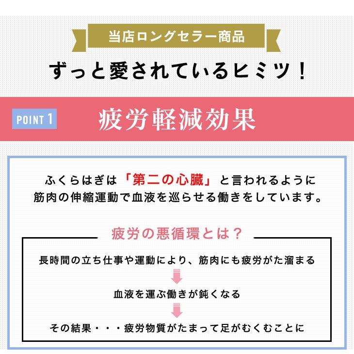 【あしサポ】加圧効果のふくらはぎサポータースポーツ 血行改善 むくみ予防  ふくらはぎ　サポーター 西垣靴下｜econoleg｜07