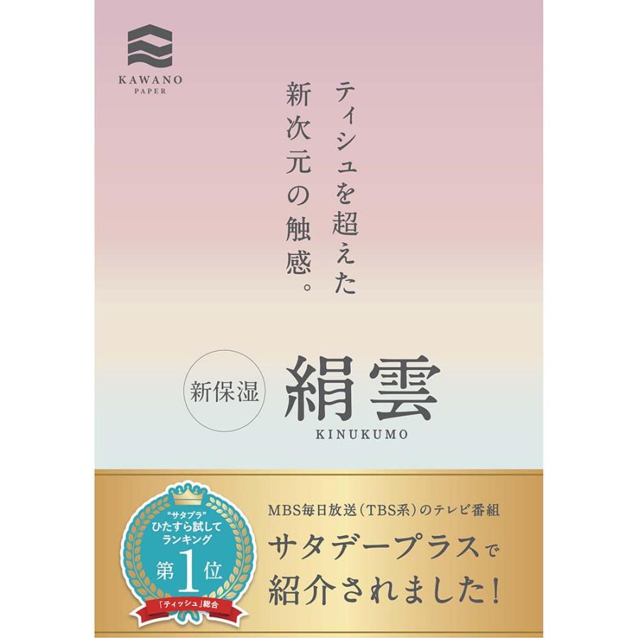 河野製紙 kawano 新保湿ティシュ 絹雲 3枚重ね 130組×3P 10個セット 花粉症 鼻炎 | ブランド登録なし | 03
