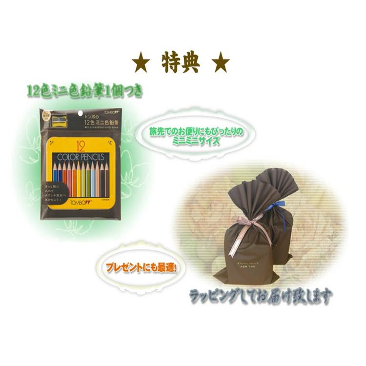 トンボ鉛筆 色辞典 第一集 三集 色鉛筆全90色セットirojiten 140s イーコンビyahoo 店 通販 Yahoo ショッピング