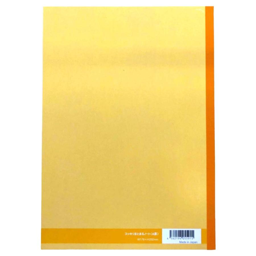 サンフレイムジャパン　スッキリまとまるノート　Ａ罫　５色　500-2261 5002261 |  | 08