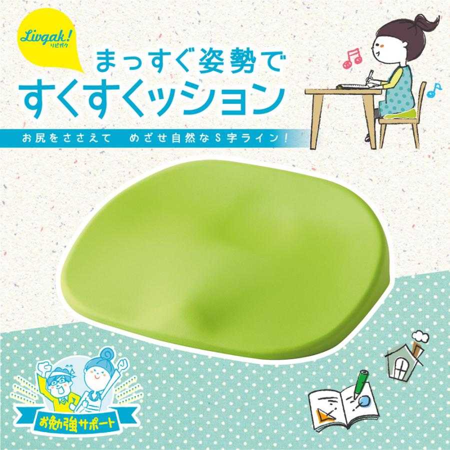 SONIC ソニック まっすぐ姿勢ですくすくッション キッズ リビガク  LV-4139-G | SONiC | 01