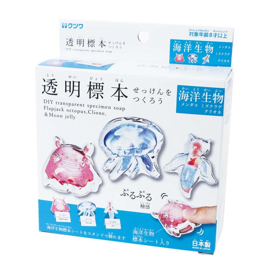 クツワ KUTSUWA 透明標本 せっけんをつくろう 生物 PT211B ホビー | ブランド登録なし
