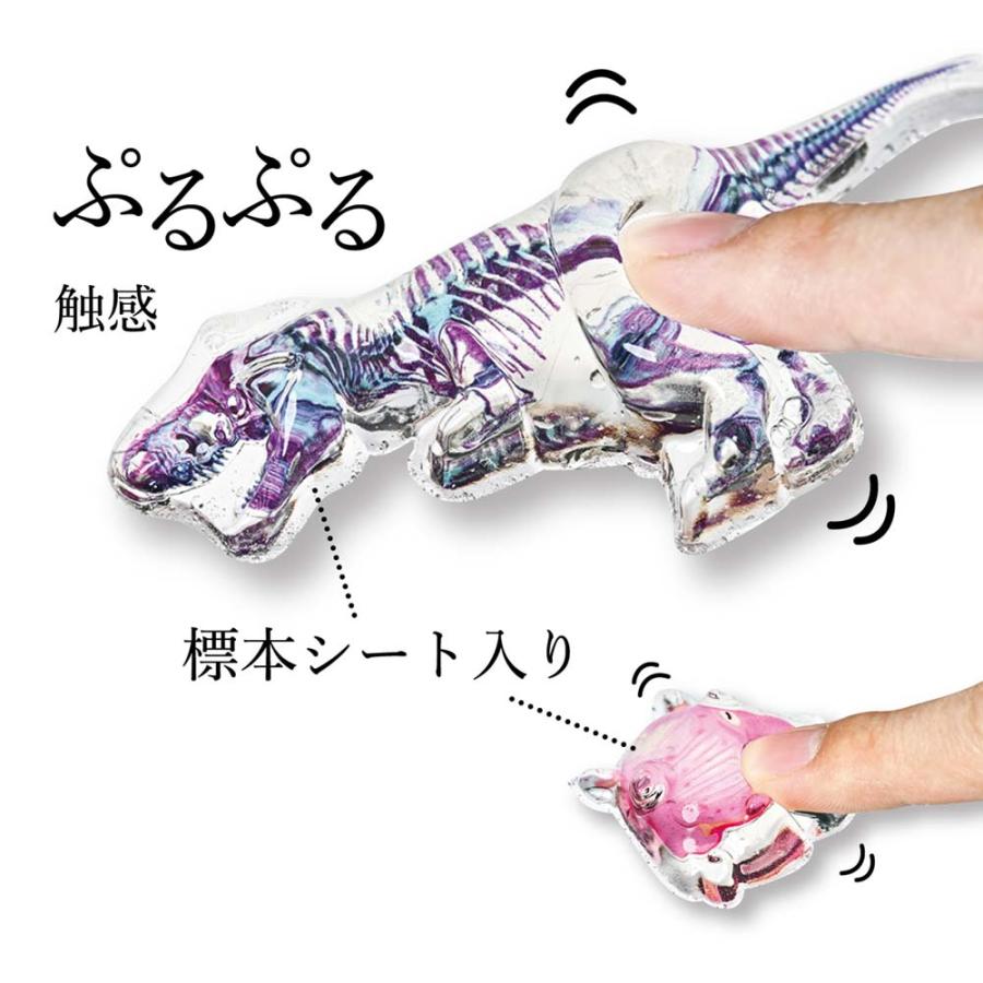 クツワ KUTSUWA 透明標本 せっけんをつくろう 生物 PT211B ホビー | ブランド登録なし | 01