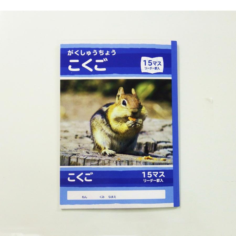 サンフレイムジャパン　学習帳　こくご　１５マス　500-2431 5002431 | 