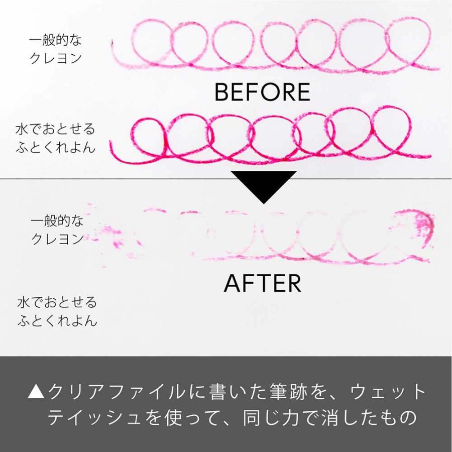 ＜ぺんてる＞ 水でおとせるふとくれよん12色 GWM1-12 | ぺんてる | 05