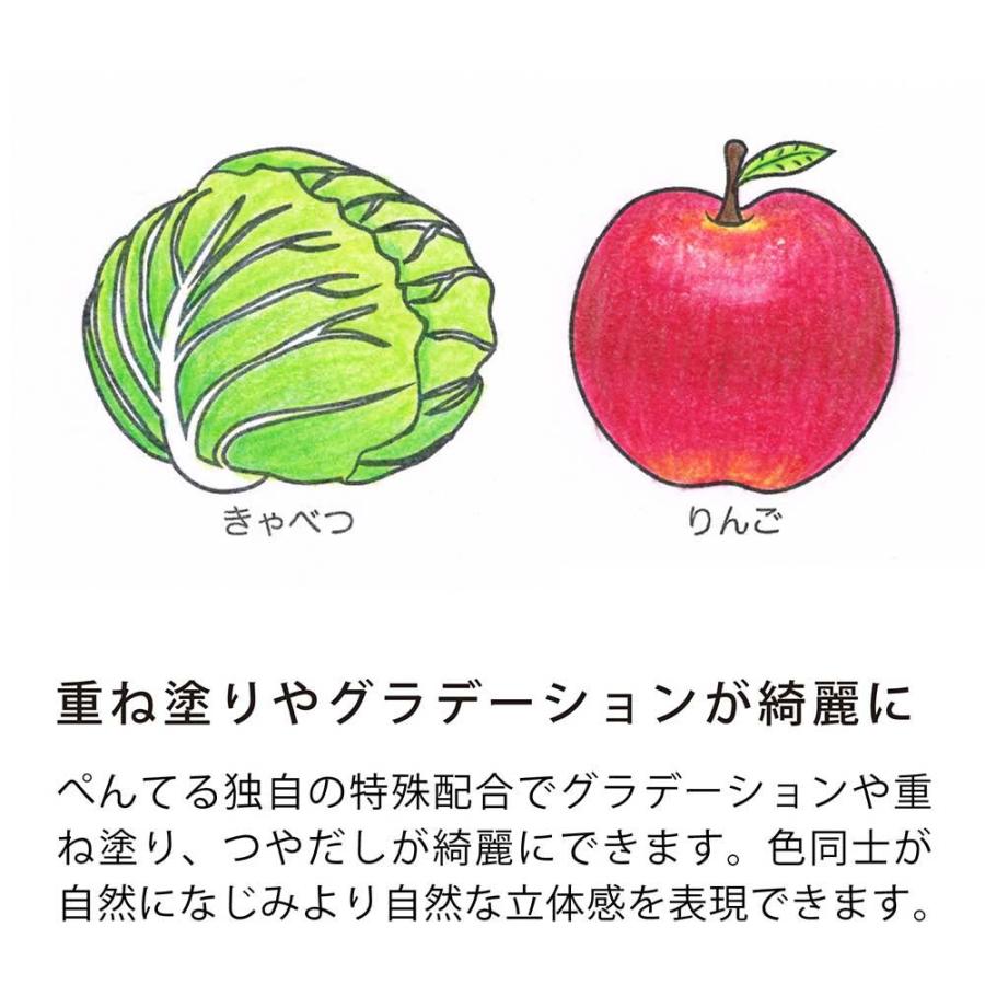 ペンテル 小学校色えんぴつ 12色 + ３色 GCG1-12P3 | ブランド登録なし | 10