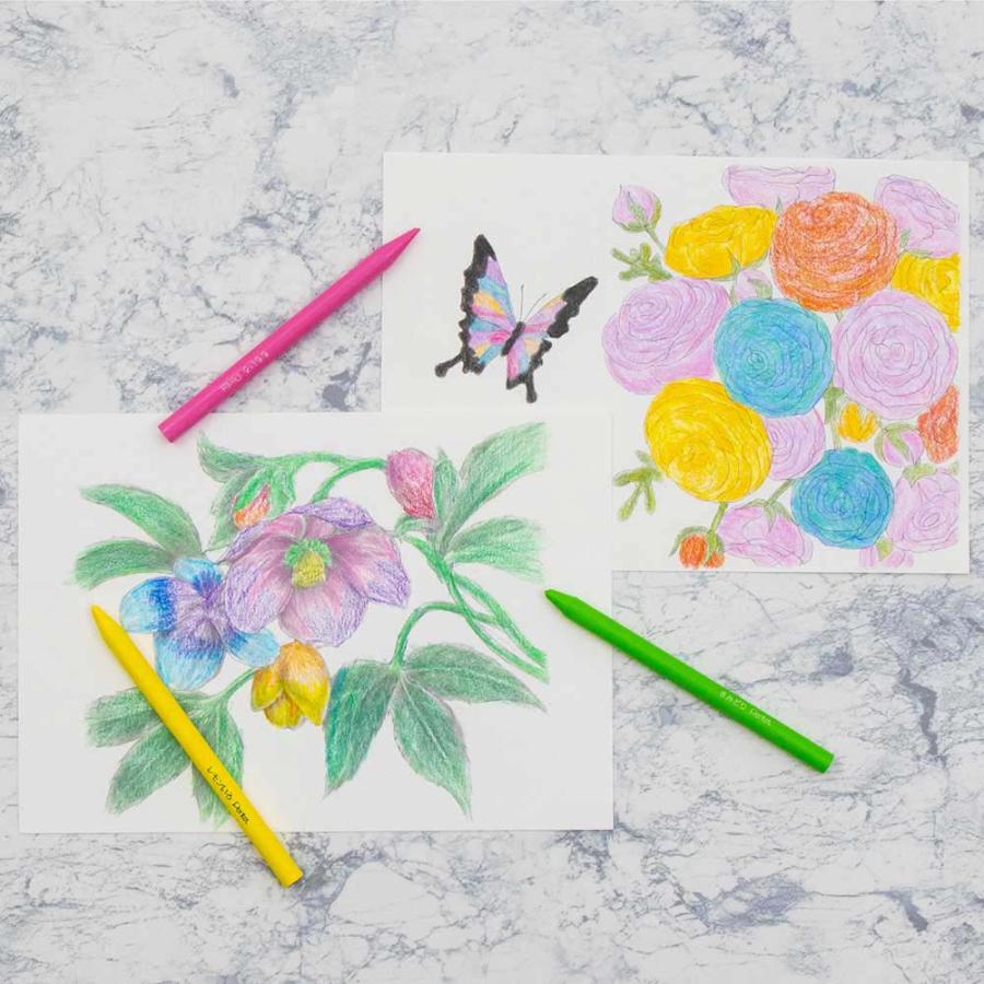 ペンテル 小学校色えんぴつ 12色 + ３色 GCG1-12P3 | ブランド登録なし | 12