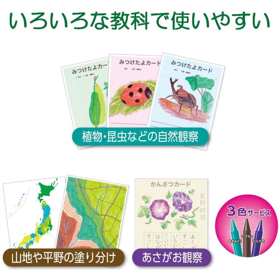ペンテル 小学校色えんぴつ 12色 + ３色 GCG1-12P3 | ブランド登録なし | 08