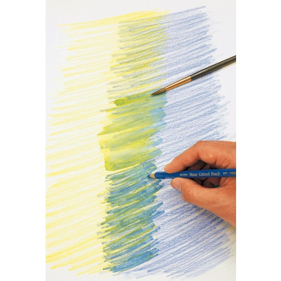 サクラクレパス 水彩色鉛筆 12色 EPY12 | サクラクレパス | 02