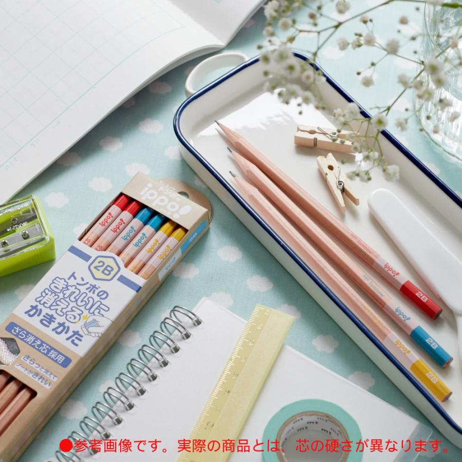 トンボ鉛筆 Tombow きれいに消えるかきかた鉛筆 6B ナチュラル KB-KSKN01-6B ippo! イッポ 6B 1ダース 学校 勉強 | ippo！ | 01