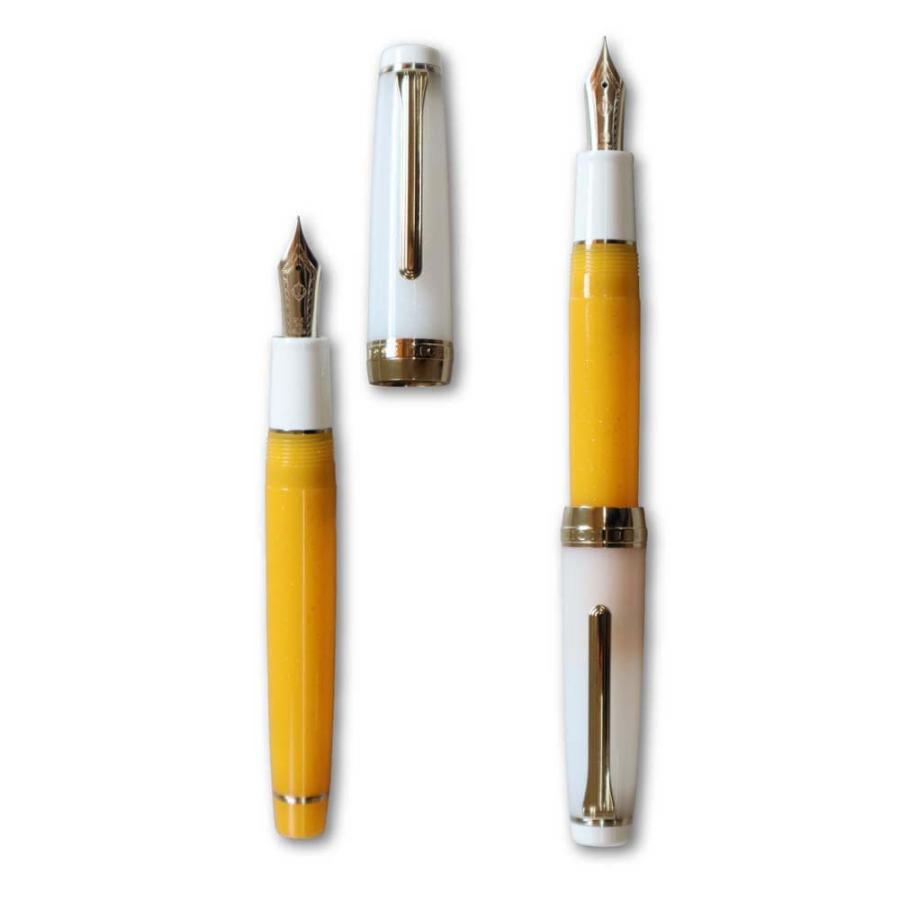 【数量限定】オリジナル万年筆 門司港 クラフトビール万年筆 ヴァイツェン 太字 B コンバーター付き | ブランド登録なし | 14