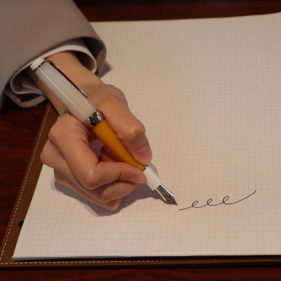 【数量限定】オリジナル万年筆 門司港 クラフトビール万年筆 ヴァイツェン 太字 B コンバーター付き | ブランド登録なし | 17